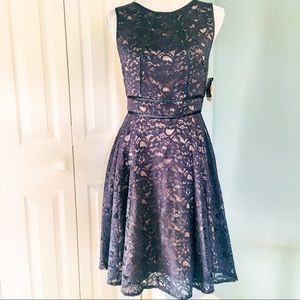 NWT Anthropologie Gabby Skye navy lace dress sz 4